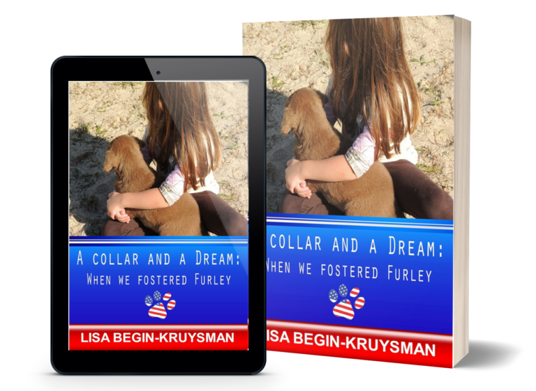 A Collar and a Dream 3D Mock