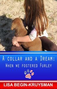 A Collar and a Dream Cover