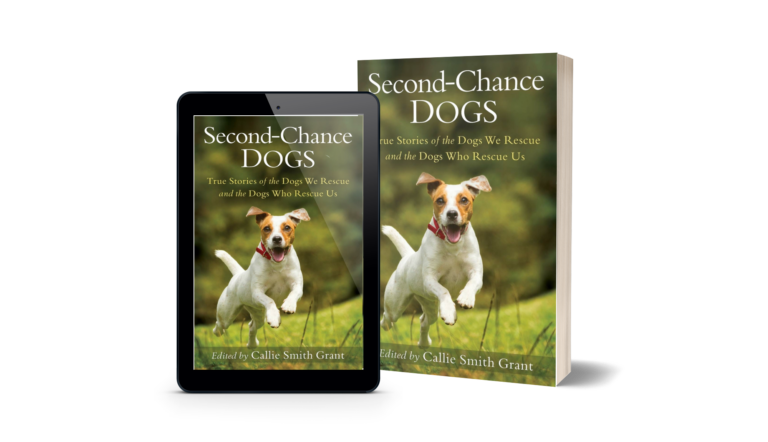 Second chance dogs 3D Mock