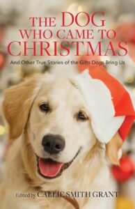 The Dog Who Came to Christmas Cover