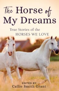 The Horse of My Dreams Cover